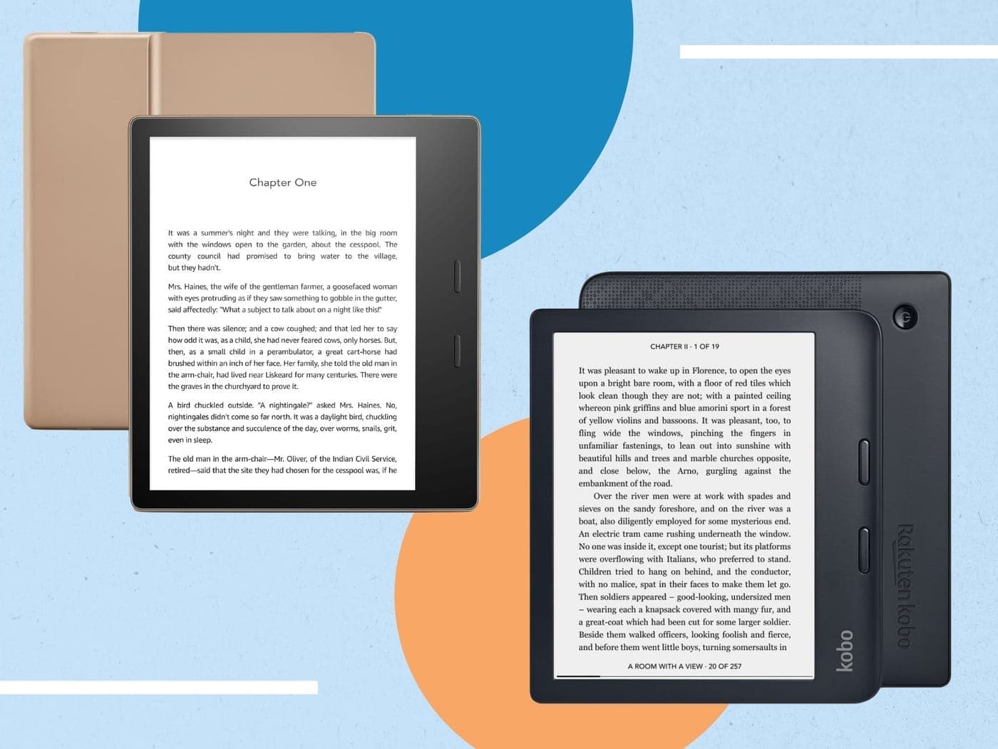 Vellum Page Mini Reader view 2